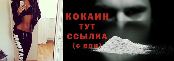 тгк Арсеньев
