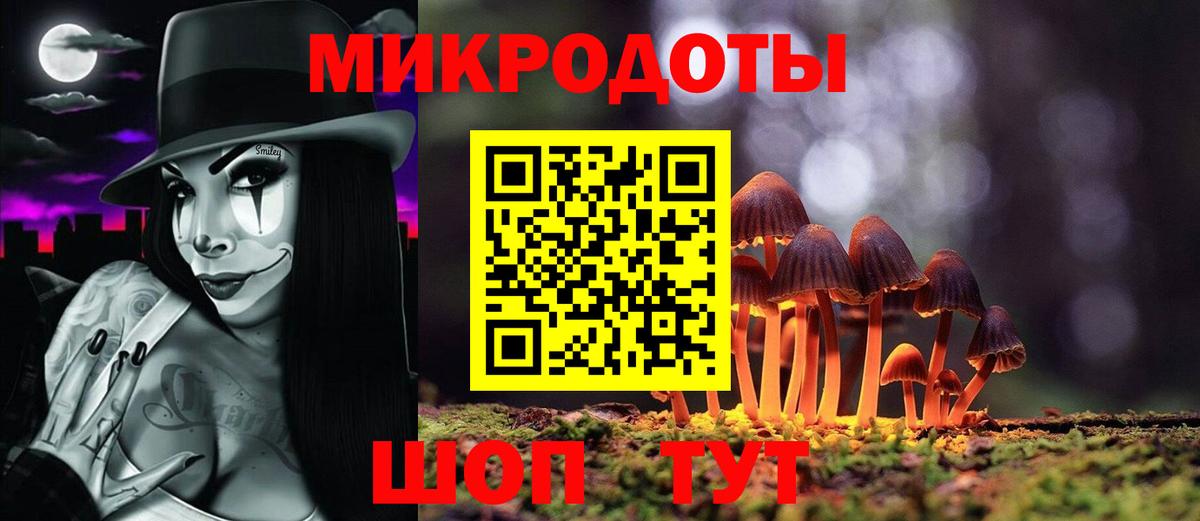 где продают наркотики  Галлюциногенные грибы MAGIC MUSHROOMS  Вход с VPN  Ессентуки 