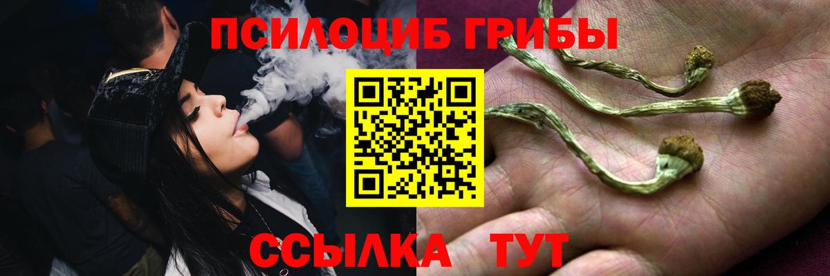 Псилоцибиновые грибы GOLDEN TEACHER Ессентуки