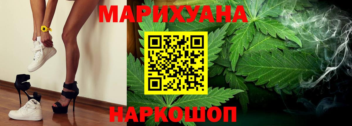 Конопля конопля Ессентуки